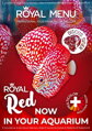 ROYAL MENU RED  veľkosť L Pre 9-15cm