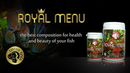 ROYAL MENU DISCUS-SINER  Größe S für 2-4cm