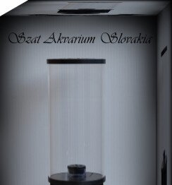 Filter Booster=Bio Reactor,dóza Ø 150mm Plexisklo Filter Booster=Bio Reactor,dóza Ø 150mm Plexisklo